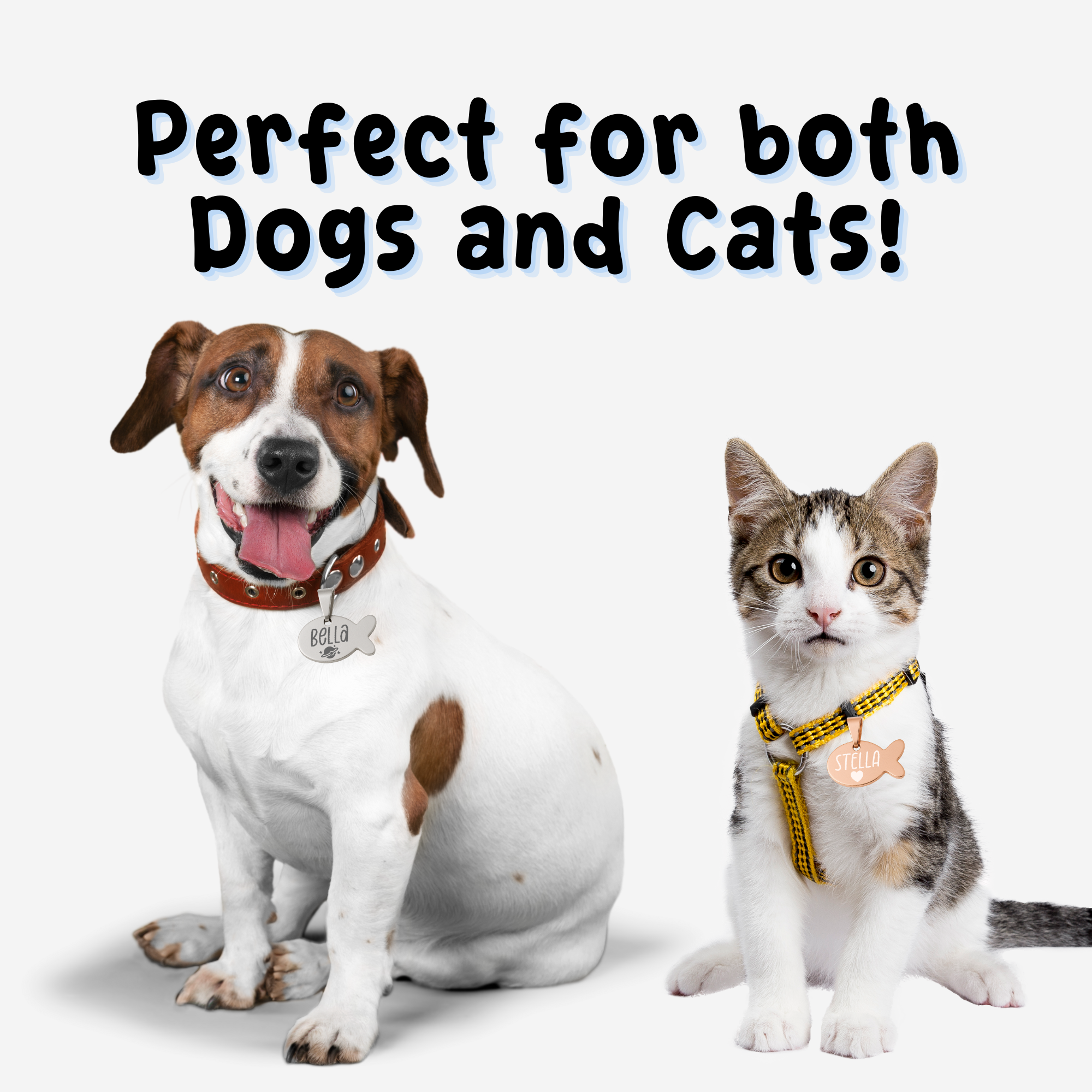 Fish Tag – Stainless Steel – Signature Edition (Matching Ring)