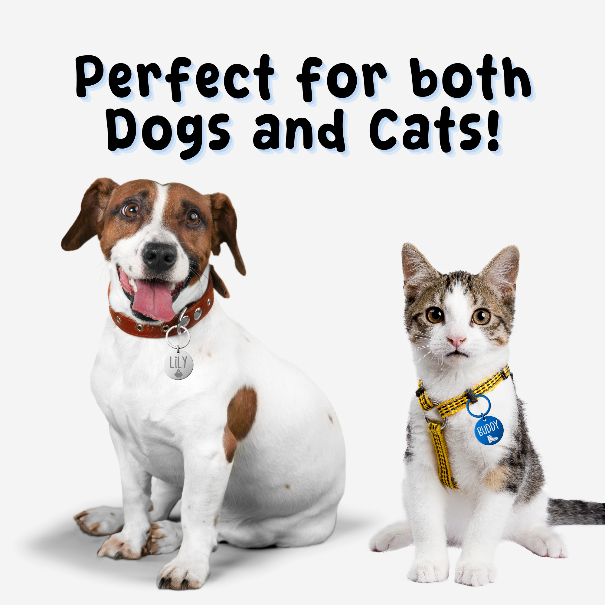 Circle Tag – Stainless Steel – Signature Edition (Matching Ring)