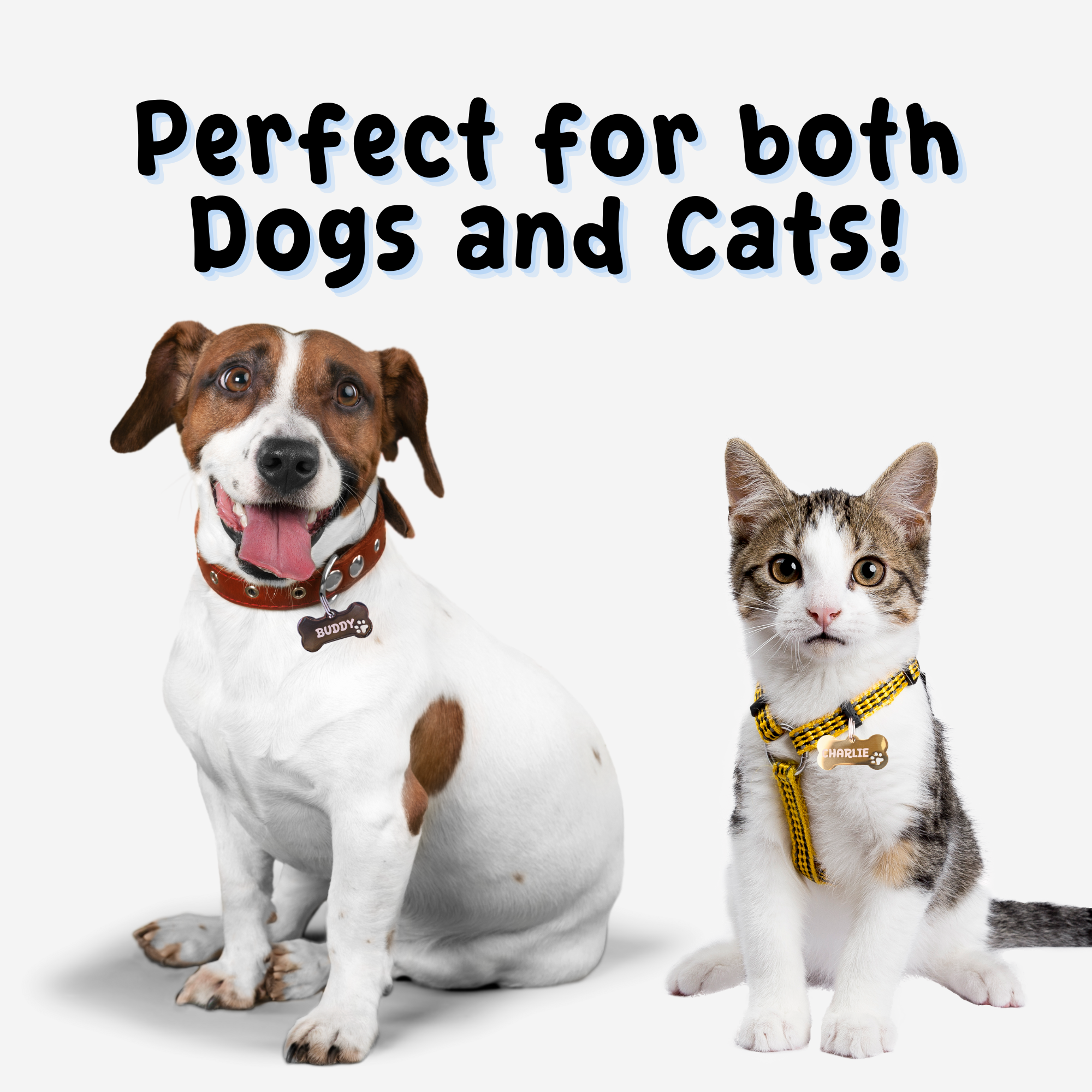 Bone Tag – Stainless Steel – Classic Edition (Standard Ring)